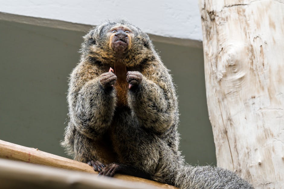 Street Style Trending Now